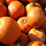 Children pretending to be pumpkins in a dance class