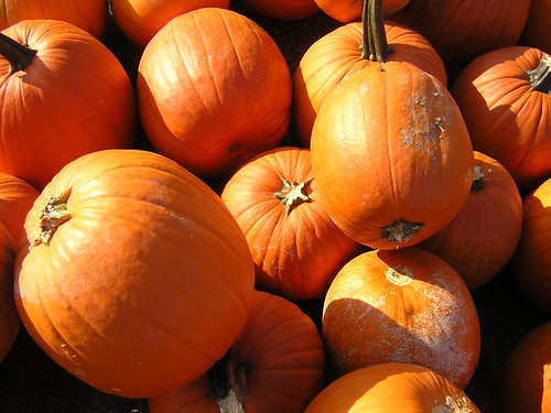 Children pretending to be pumpkins in a dance class