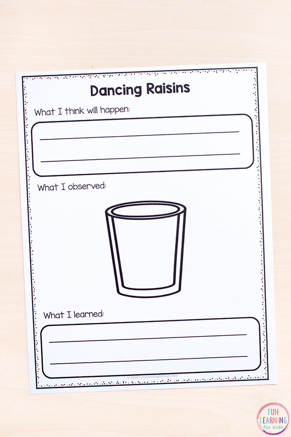 Image of printable recording sheets for the dancing raisins experiment, designed for preschool and older students.