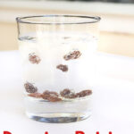 Close-up of dancing raisins in a glass of clear soda, a simple and fun science experiment for kids with free printable recording sheets.