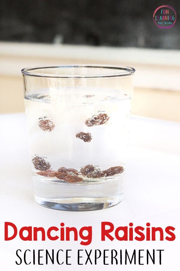 Close-up of dancing raisins in a glass of clear soda, a simple and fun science experiment for kids with free printable recording sheets.
