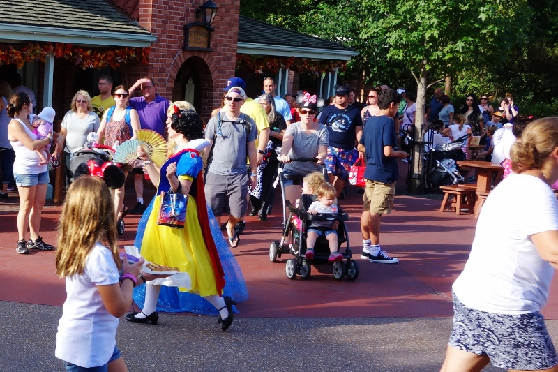 Guests in Costume at Mickey's Not-So-Scary Halloween Party