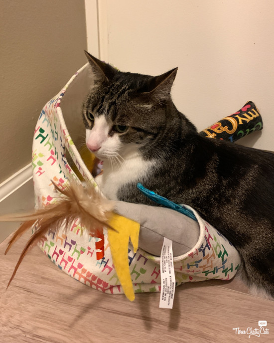 Woodrow the tabby cat surrounded by his toy basket treasures