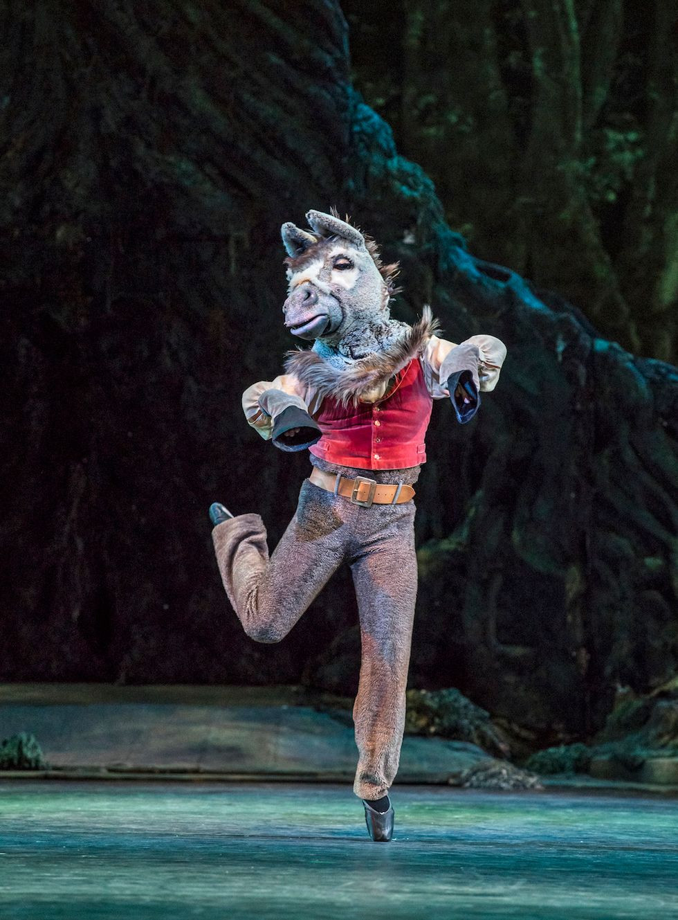 Bennet Gartside as Bottom in *The Dream* (Bill Cooper, courtesy Royal Opera House). Pointe work is a powerful way for men to show admiration for female dancers